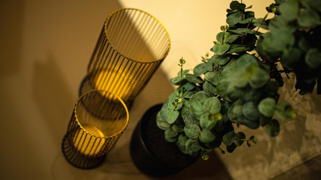 Dream Apartments Szeged Ngoại thất bức ảnh